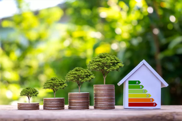 How the BASIX Assessment Helps New Homeowners in NSW